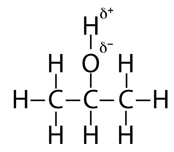 17_better isopropyl alcohol