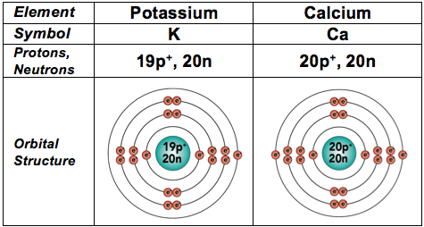 29_calcium and potassium