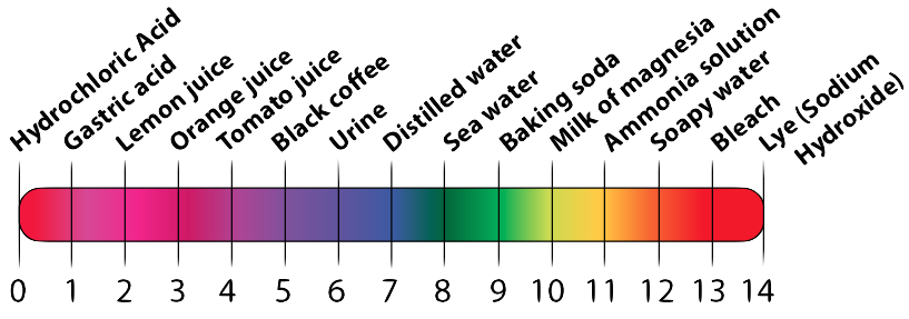 pH scale from 0 to 14 with examples at each whole number. 0 = Hydrochloric Acid (extremely acidic), 7 = Distilled water (neutral), 14 = Lye (Sodium Hydroxide; extremely basic). From 0 to 14, the full list is: Hydrocloric Acid, Gastric acid, Lemon juice, Orange juice, Tomato juice, Black coffee, Urine, Distilled water, Sea water, Baking soda, Milk of magnesia, Ammonia solution, Soapy water, Bleach, and Lye (Sodium Hydroxide).