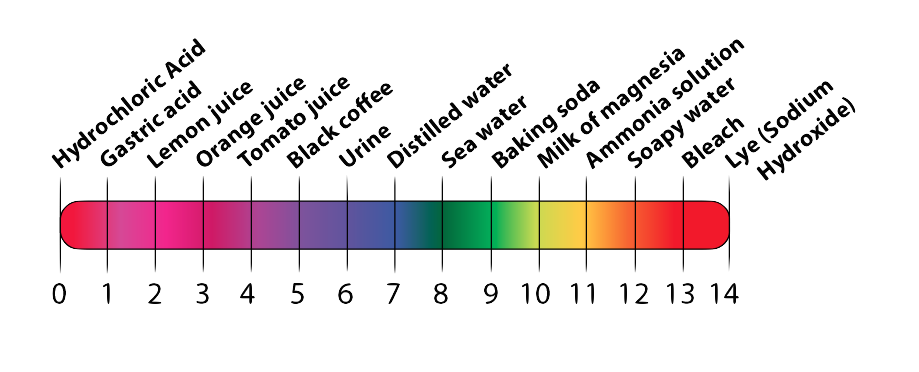 06_ph scale
