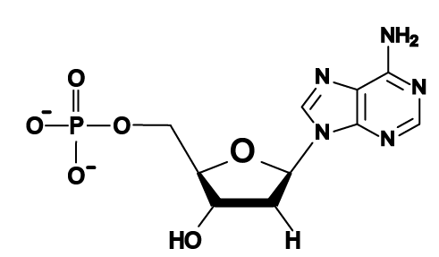 04a_adenine, structural