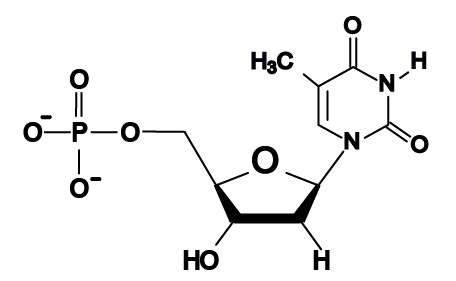 04d_thymine, structural