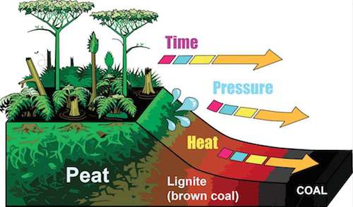 From left to right, Peat over time and with pressure and heat becomes lignite (brown coal) and then coal.