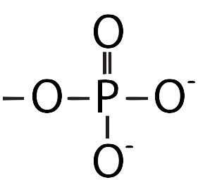 06_phosphate-corrected-ionized