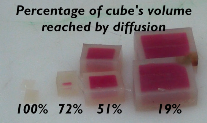15_amount of diffusion into cubes