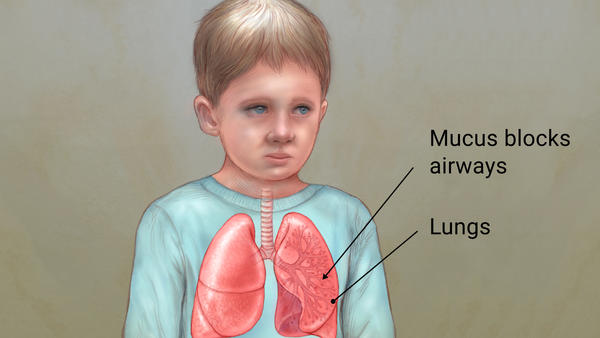 Child with lungs labeled,