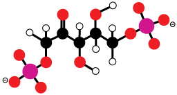 Described under the heading Phase Roman Numeral 1: Carbon Fixation.