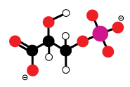 Described under the heading Phase 1: Carbon Fixation.