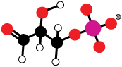 Contains 5 hydrogen atoms.