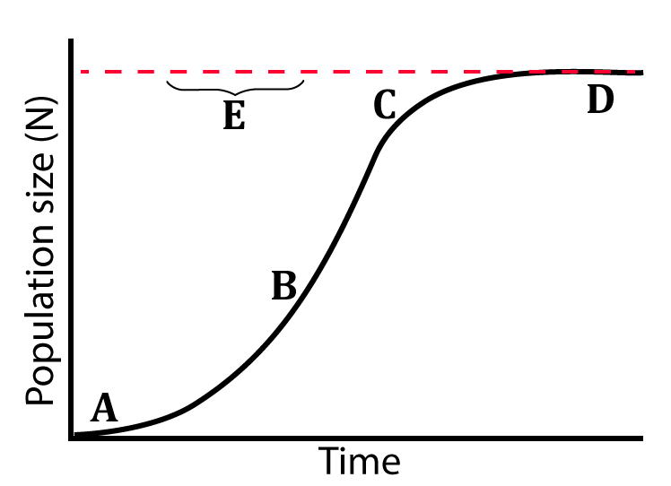 Graph of Population size (N) over Time. The graph starts at A, where time and population size are at 0. The graph rises at B. The graph decreases its rate of rise at C. The graph flattens out at D. A dotted red line (E) extends at the population size of D for all time.