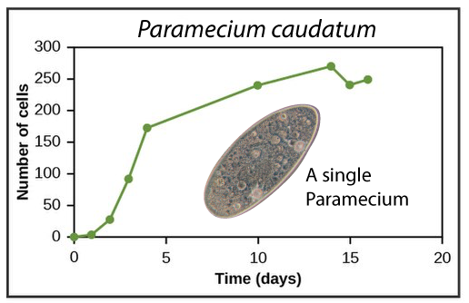 Graph of growth rate of Paramecium caudatum charting Number of cells over Time in days. The graph has roughly these points: (0,0), (1, 5), (2, 20), (3, 90), (4, 175), (10, 225), (13, 255), (15, 225), (16, 235). An image of a single paramecium is superimposed on the graph.