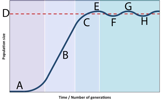 Graph of population size over time/number of generations. The graph is sectioned into four colored stages that form a gradient from light purple to light blue. In the first stage, point A on the graph shows very low population size. In the second stage, B labels the graph at the highest rate of growth, and the population size is about halfway up the vertical axis. In the third stage, the graph at C is slowing its growth rate. Point E on the graph is the highest point on the graph before it starts to decrease. In the fourth stage, points F and H show small declines in the graph just below red dotted line D. Point G shows a small rise in the graph between F and H at the same apex height as point E.