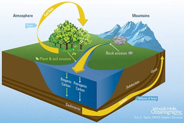 Carbon cycling from the mountains into a waterway via rock erosion. Carbon moves out to larger bodies of water and sinks biogenic carbon and petrogenic carbon. The carbon in sediments, after millions of years of subduction, experience uplift as a new mountain. Carbon also cycles from plants to the atmosphere and back over the course of years. Some plant and soil erosion also goes to the waterway.
