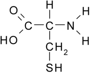 Cysteine structural model. Described in caption.