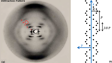 a) Diffraction pattern. X-ray of DNA structure with numbered dashes from one to five, inside to out. b) A dot structure of the DNA helix with arrows labeling the X axis, Y axis, R, P, and 3/8 P.