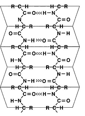 Described under the heading 4c.2. Beta Pleated Sheet.
