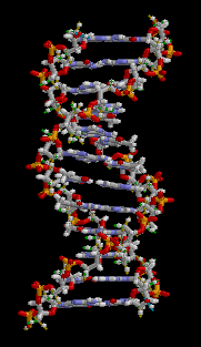 DNA, the molecule of heredity. 