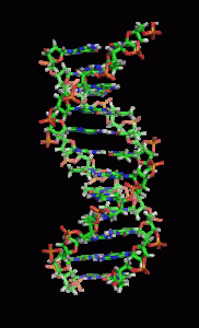 rotating DNA-375