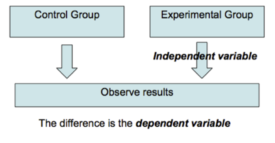 Diagram with boxes labeled "control" and "experimental" groups, with arrows pointing to a box "observe results." The experimental group arrow is labeled "independent variable."