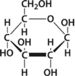 Ring (cyclic) form of glucose (C6H12O6). Described under header 1. Biological molecules are polymers that are built by combining monomers