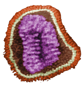 0410_Influenza_virus_particle_color