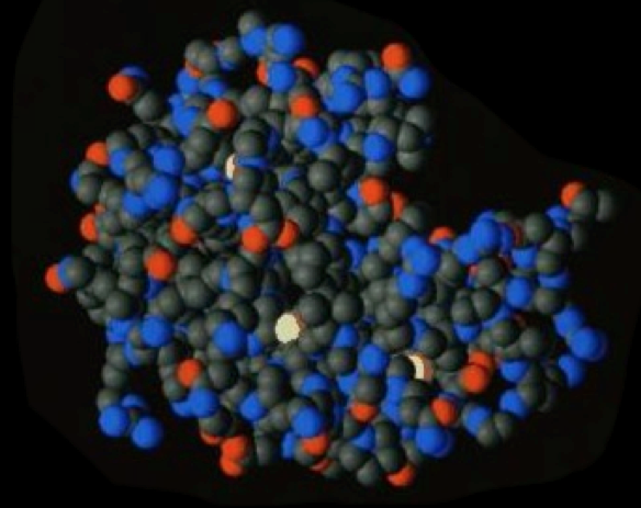 3D depiction of an enzyme made of black, blue, and red spheres.