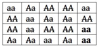 4 by 5 table with the following allele combinations: seven cells have two lowercase a's, six cells have one capital A and one lowercase a, and seven cells have two capital A's. All cells have been crossed out except for two cells with two lowercase a's inside.