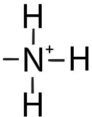 Amino group (ionized) structure: N