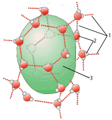 Described under the heading 1. Lipids are hydrophobic.