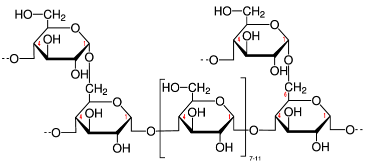 Described under the heading 8b. Glycogen.