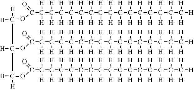 Described under the heading 2b. Fats and oils are both triglycerides, made from glycerol and fatty acids.