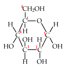 Ring form glucose structural formula. The oxygen in the ring is located top-right. Carbon 1 is clockwise to the oxygen and numbering proceeds in that direction.