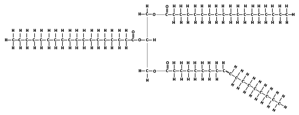 Described under the heading 2b. Fats and oils are both triglycerides, made from glycerol and fatty acids.