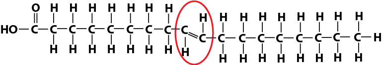 Fatty acid structural formula with the trans configuration circled in red. <a href=