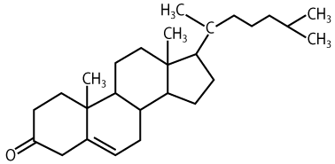 Cholesterol, contains 27 carbons with a hydrocarbon tail, 4 central hydrocarbon rings, and a hydroxyl group.