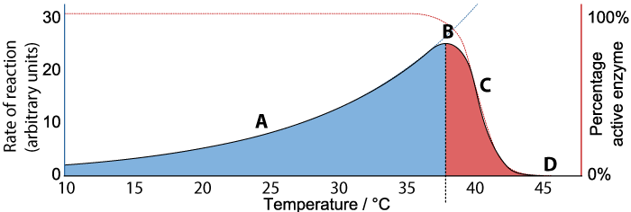 Described under the heading 6. Denaturation.