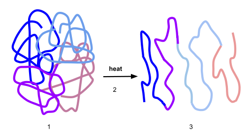 Optimal confirmation includes four polypeptides bound together. Denatured polypeptide is an unraveled, unfolded chain. Described under the heading 6. Denaturation.