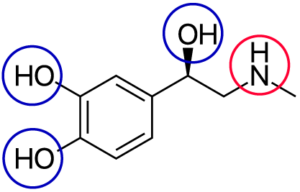 Structural formula of epinephrine. Described under the heading 2. Cell Signaling: An Overview.