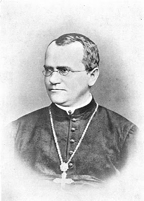 Black and white pencil portrait of bespectacled Gregor Mendel wearing monk garb and a cross on a chain.