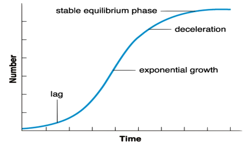 Population growth graph. Time is x-axis and Number is y-axis. Initial phase of graph with slow growth is called "lag". Middle phase with fast growth is called "exponential growth". Growth slows in the "deceleration" phase. Graph levels out at the "stable equilibrium phase".