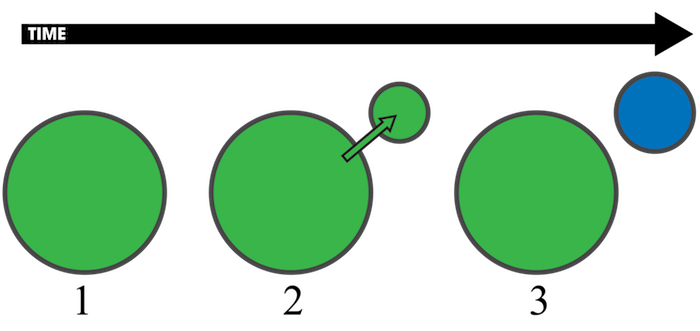 Time arrow pointing to the right. Time 1: Green circle. Time 2: Green circle with arrow to smaller green circle to upper right. Time 3: Green circle and separate, smaller blue circle in upper right.