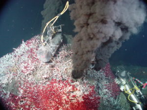 Black smoker vent on the seafloor surrounded by numerous tubeworms with white bodies and red ends.