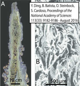 A. Cross section of a calcium carbonate chimney showing a craggy exterior edge, and holes dotting the inside with lavender and goldish coloring. Scale bar is 10 cm, indicating a maximum width of approximately 20 cm, and a height of approximately 80 cm. B. Microscopic image of the calcium carbonate chimney with a scale bar of 500 micrometers. Citation: Y. Ding, B. Batista, O. Steinbock, S. Cardoso, Proceedings of the National Academy of Sciences 113(33): 9182-9186. August 2016.