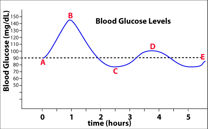 Blood Glucose Levels graph. Time (hours) on x-axis. Blood Glucose (mg/dL) on y-axis. Horizontal dotted line (E) is at 90 mg/dL. The line connects Points A (0, 90) to B (1, 140) to C (2.5, 75) to D (4, 100) and to E (5.5, 85). 