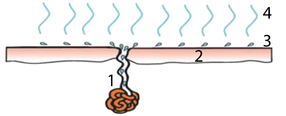 Described under the heading b. Evaporative cooling.