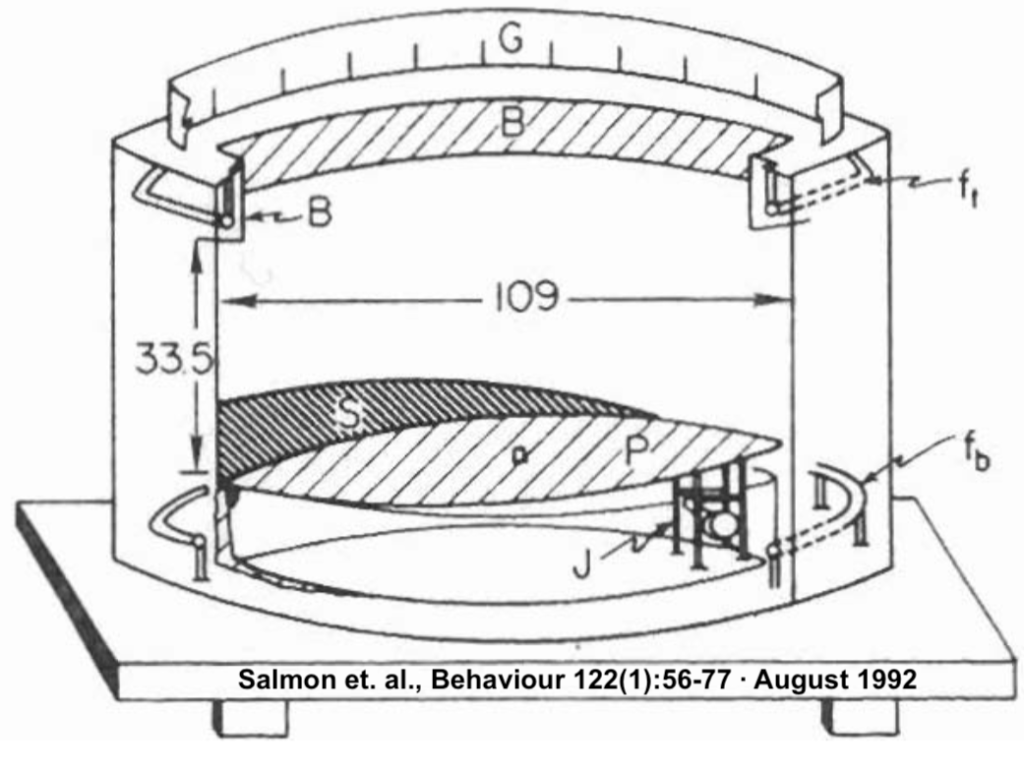 Citation: Salmon et. al., Behaviour 122(1):56-77. August 1992.