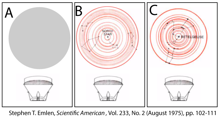 Planetarium views. A. Blank sky. B. North star is at the center. C. Betelgeuse is at the center. Citation: Stephen T. Emlen, Scientific American, Vol. 233, No. 2 (August 1975), pp. 102-111.