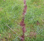 Grassy field with a narrow reddish brown path down the center.