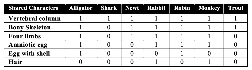 Table comparing the characteristics of alligator, shark, newt, rabbit, robin, monkey, and trout. All organisms have a vertebral column. All but the shark have a bony skeleton. All but the shark and trout have four limbs. All but the shark, trout, and newt have amniotic egg. Only the alligator and robin have an egg with shell. Only the rabbit and monkey have hair.