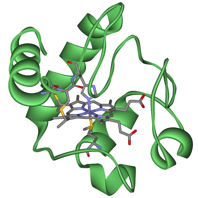 Green protein with multiple alpha helices.